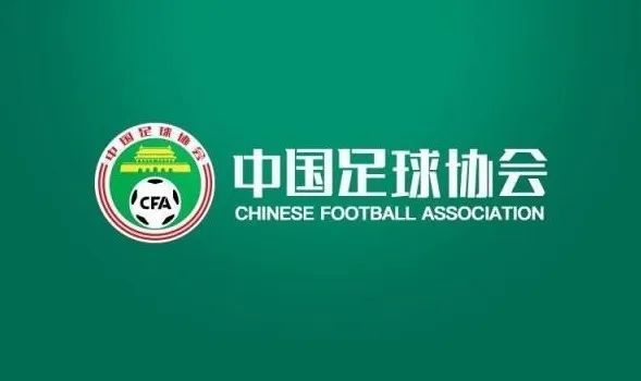 美女在线网站视频免费观看